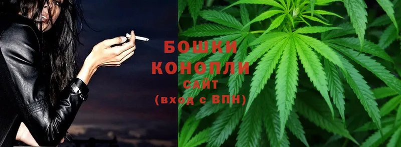 MEGA зеркало  Кохма  Бошки марихуана White Widow  купить закладку 